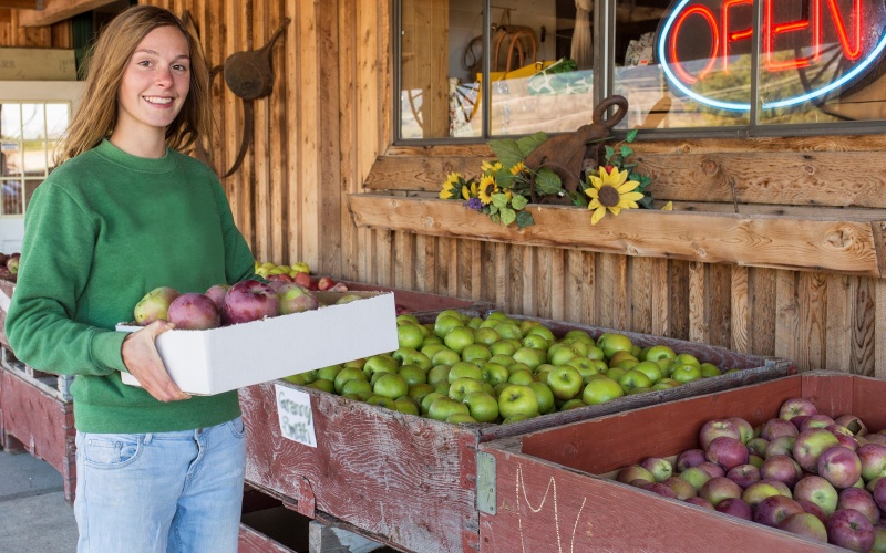 Pommes sur un stand de fruits avec une consommatrice tenant une boîte de pommes