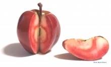 Photo of red-fleshed apple with a slice removed